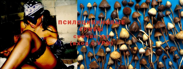МДМА Грязовец