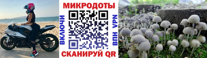 Псилоцибиновые грибы GOLDEN TEACHER хочу Суздаль